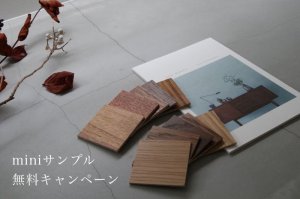 画像1: 【期間限定】miniカラーサンプル 無料セット