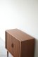 画像5: SIDE BOARD (5)