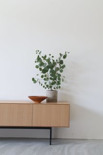 TV BOARD