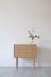 画像1: SMALL CHEST (1)