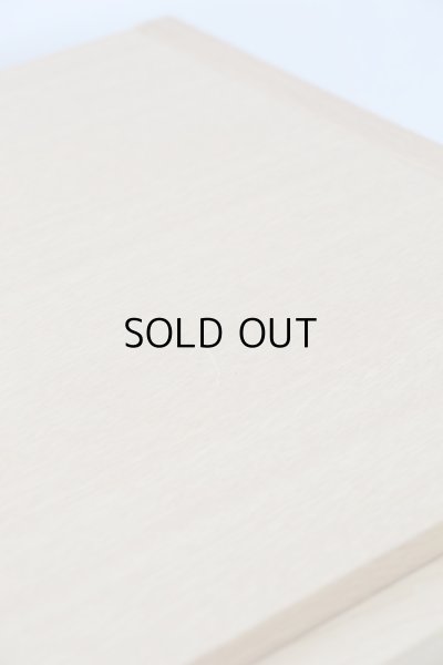 画像7: キャビネット (7)