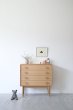 画像1: CHEST (1)